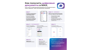 Документы через МАКС 1