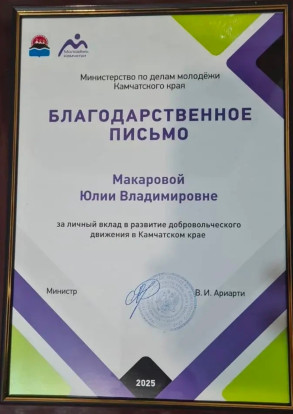 День добровольца 9